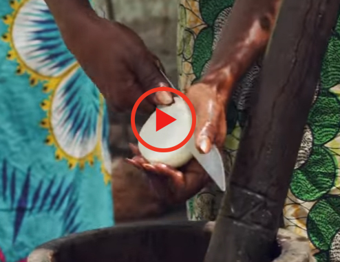 Bakongo ft. Sam Mangwana, Socorro, Kyaku Kyadaff